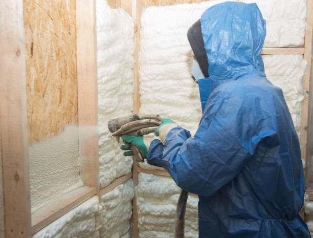 Best Spray Foam Insulation  in Sergeant Bluff, IA